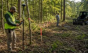 Licensed land surveyor marking a wooded property line before tree removal and brush clearing to prevent boundary disputes